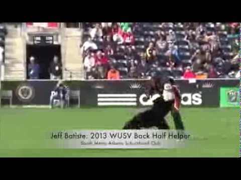 2013 WUSV Protection Highlights II