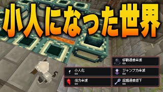 【マイクラ】小人になった世界でエンドラ討伐～エンド編～