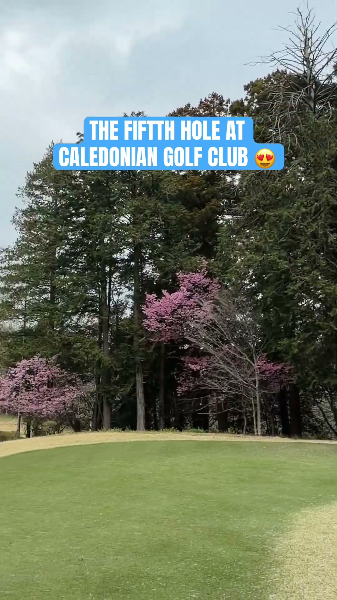 How are you approaching this exquisite 175 yard par 3?