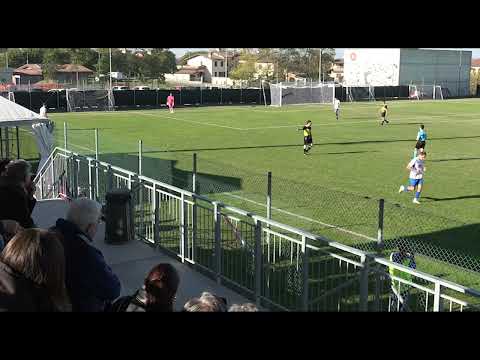 Sarmatese Junior Drago