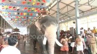 Elephant Race at Guruvayur 