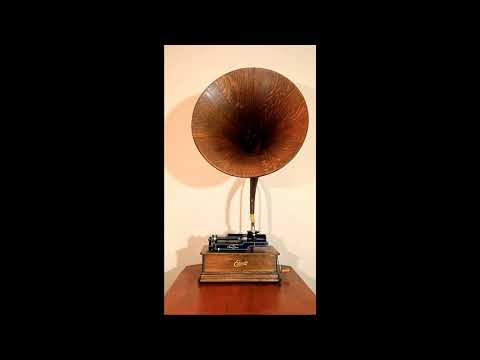 Foxtrot "Fancies" by Green Brothers Novelty Orchestra on Edison Blue Amberol cylinder record 4429
