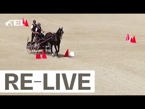 RE-LIVE | Marathon 7-year-old horses - FEI Driving World Championship 2022 for Young Horses