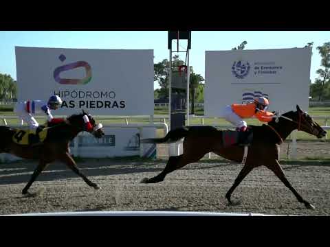 220108 c08 - CHAMBERGO - HIPODROMO LAS PIEDRAS