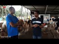ಹಾಲು ಉತ್ಪಾದನೆ|Dairy farm|Hainugaarike|cow farming|dairy farming in kannada|dairy farm business|