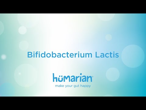 Bifidobacterium lactis probiotics powder