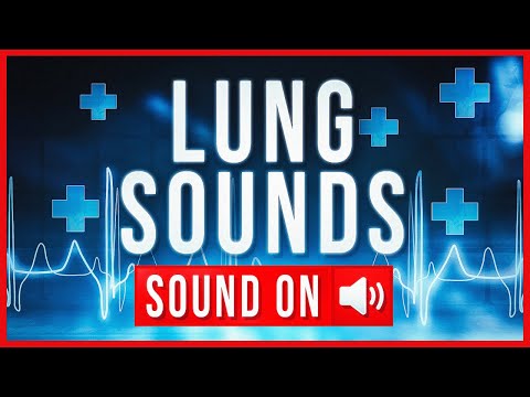 REAL LUNG SOUNDS + ASSESSMENT