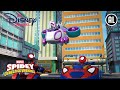 Spidey | Rood Licht, Groen Licht| Disney Channel NL