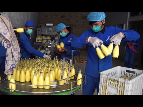 Afghanistan milk factory faces challenges (Pre-intermediate level English B1)