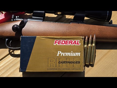 Federal Premium .270 130gr Sierra GameKing 100yd Accuracy Test W/ Winchester Model 70 Ranger