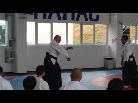 Seminar in Varna 15-17.06.2017 - Michele Quaranta - Video 8