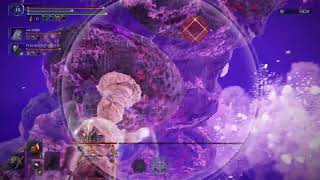 ナイトレイン　学者研究