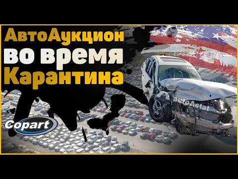 Аукцион COPART в время карантина | Кот в Мешке