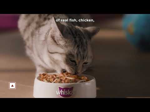 Whiskas Adult Mix Wet Cat Food
