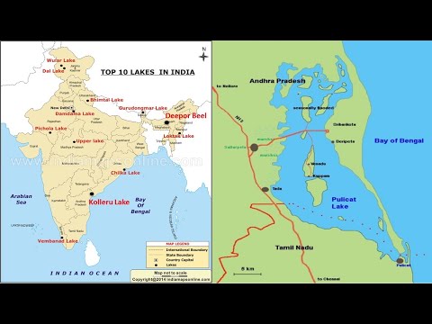 13 August 2020 Daily Current Affairs MCQ