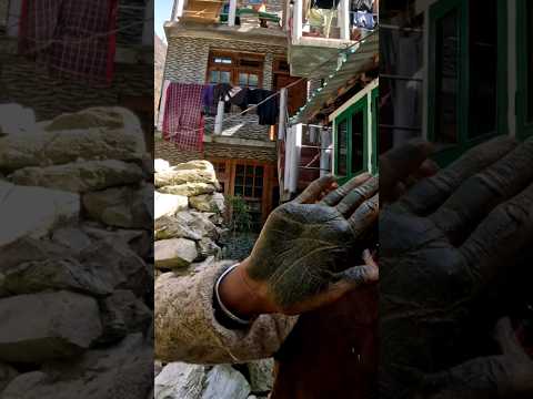 Best Smoke on The Planet, Malana Cream