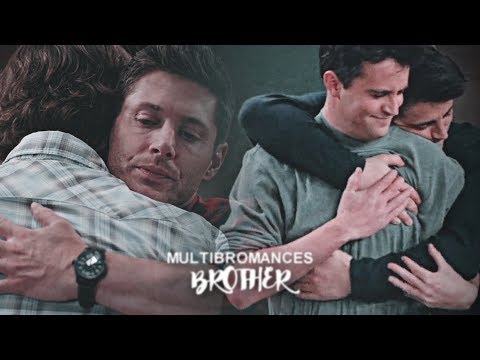 multibromances || I've got you brother.