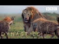Hyena pack attacks lion | FULL CLIP - Dynasties Hyena pack attacks lion | FULL CLIP - Dynasties
