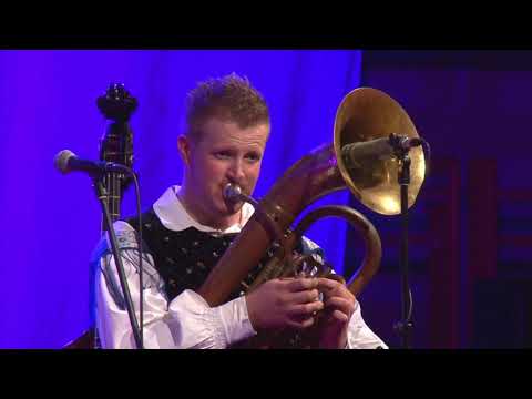 Trio Šubic in Franc Mihelič - Razposajena harmonika (10 Čarobnih let Tria Šubic z gosti )