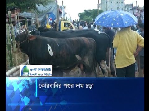 শেষ দিনে কোরবানির পশুর চড়া দাম