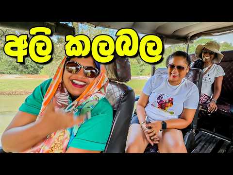 හැමෝගෙම පළවෙනි සැරේ - VLOG 499