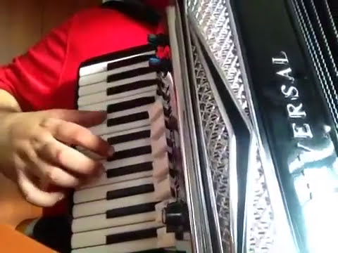 Aula de Sanfona -Telefone mudo (solo e baixo)