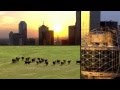 Dallas 2012 TNT Series Intro Theme Song