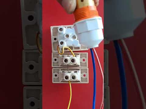 1 socket 2 switch connection || @electricsciencetrickshort