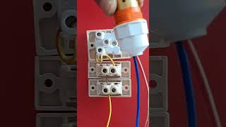 1 socket 2 switch connection || @electricsciencetrickshort