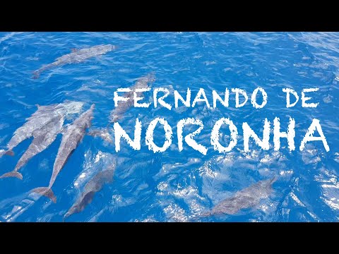 Fernando de Noronha SEA LIFE (Brazil 2019)