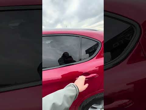 фото alfa romeo stelvio stelvio 0