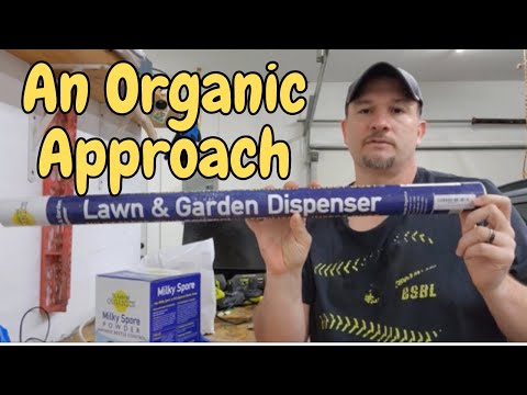 Get Rid Of Japanese Beetles and Grubs With This Milky Spore Application