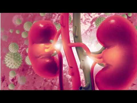 Azotemia, trajtimi me bimë popullore