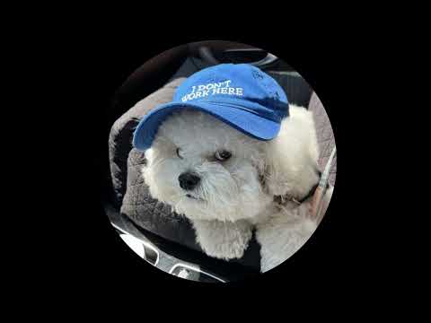 Aaron Smith feat. Luvli  - Dancin [Soulshaker Remix]