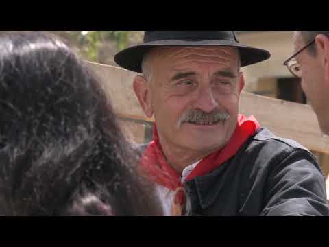 Vòta del 6 de junh de 2010 a Anglars