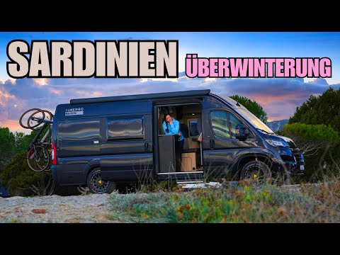 We didn't expect this at all! Southern Sardinia completely surprised us 🦩 #sardinia