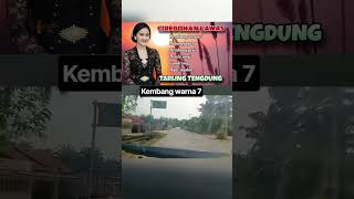 Download lagu tarling pantura Cirebonan ' kembang warna 7' #tarlingcirebonan #tarlingpantura #tarlingviral mp3