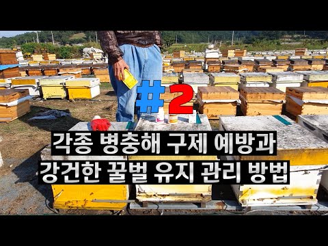 , title : '2)각종 병충해 구제 예방과 강건한 꿀벌 유지 관리방법(2020.09.21)'