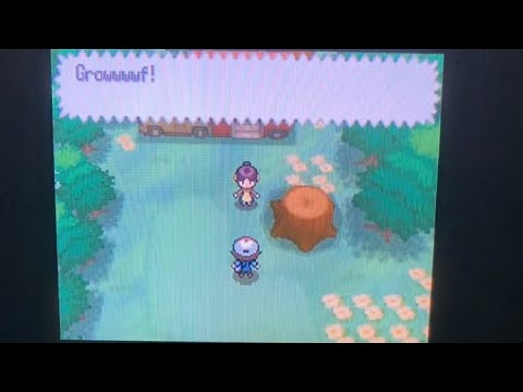 Revisiting Pokémon Black and White Special Events in 2023 - Zoroark in Lostlorn Forest