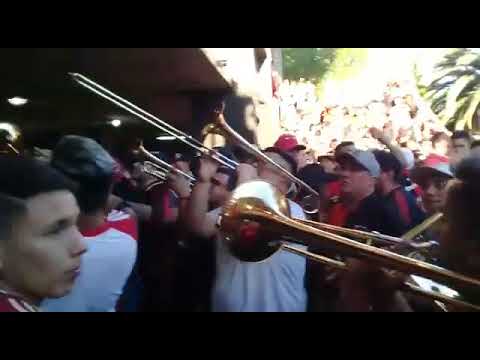 "TROMPETAS  ROJINEGRO LA GLORIOSA BANDA DEL ROJINEGRO-" Barra: La Hinchada Más Popular • Club: Newell's Old Boys