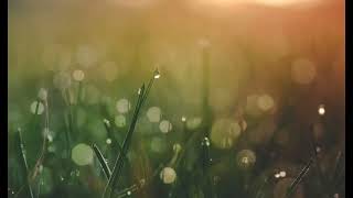 Download lagu BEL MASUK SETELAH ISTIRAHAT mp3 Download lagu BEL MASUK SETELAH ISTIRAHAT mp3