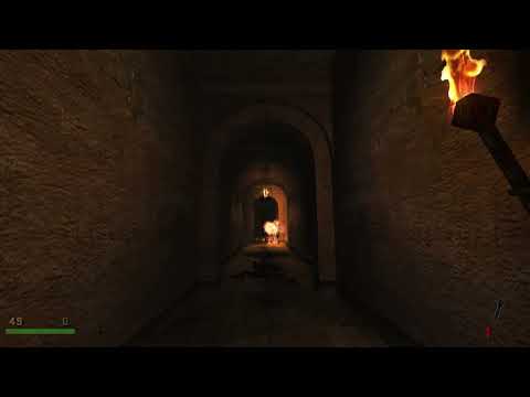 RealRTCW Gold Rush Achievement