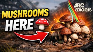 Arc Raiders Mushrooms Location Guide – How to Find & Collect Them FAST