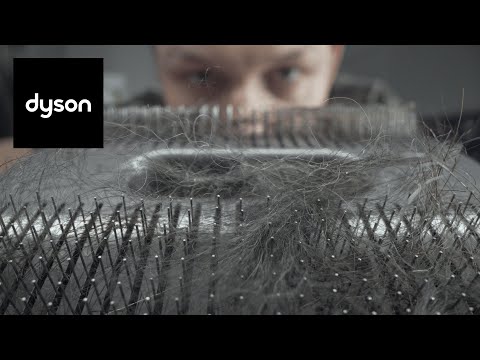 Dyson studies the science of pet hair, and how to remove it.