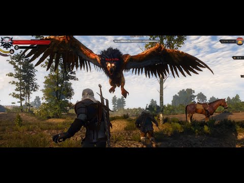 Witcher 3 : The Griffin Hunt