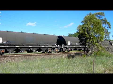 81 class on Grain Train