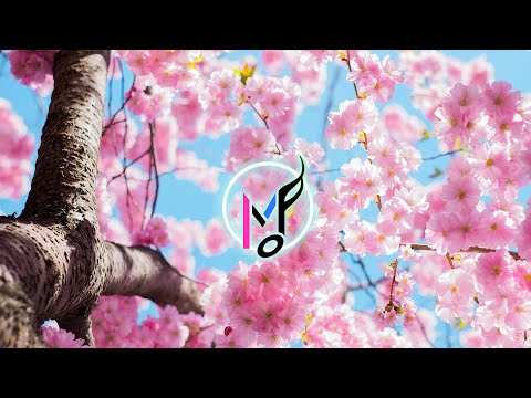 [Happy Piano Music] "Life Blossom" - Spring Joy Flowers (Copyright Free Music)