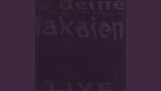 Reincarnation (Live)