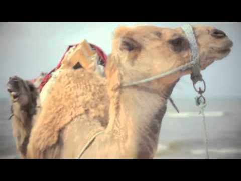 Sunrise Inc feat Miradey   Tout Le Monde   Official Video Clip