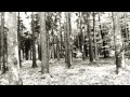 THE BEAUTY OF GEMINA - NARCOTICA ...